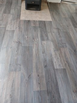 Lino - 2