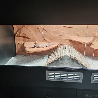 Terárium pro AGAMU - 150x64x60 - 2