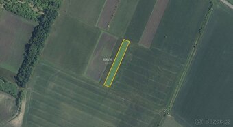 Zemědělská půda, prodej, Novosedly, Břeclav - 2