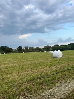 Senáž na prodej - 2