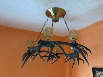 LUSTR Z PAROŽÍ - 2