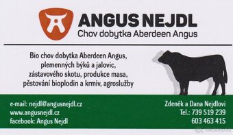 prodej plemenných jalovic Aberdeen angus G100 EKO - 2