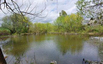 Prodej rybníku – vodní plochy, 12 045 m², Krásensko (Vyškov) - 2