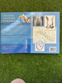The Dog Anatomy Workbook – Andrew Gardiner - 2