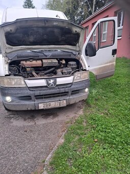Prodám pegeod boxer - 2