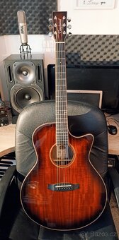 Elektroakustická kytara Tanglewood (jako nová) - 2