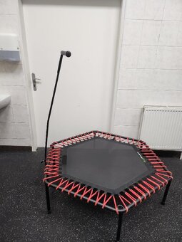 Jumping frog - profesionální trampolína 136 cm - 2