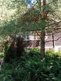 Prodej chaty k.ú. Benešov u Prahy - 2