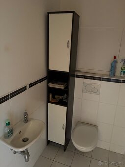 Za odvoz 3 koupelnové skříňky vc. zrcadlove - 2