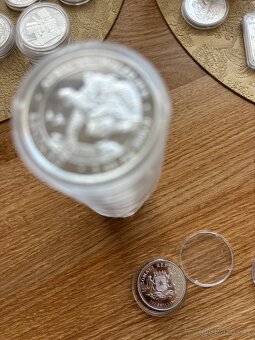 Stříbrná mince 100 Shillings - 1 Oz 2020 - Leopard - 2