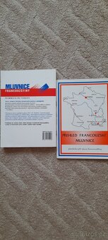 Francouzština- mluvnice - 2