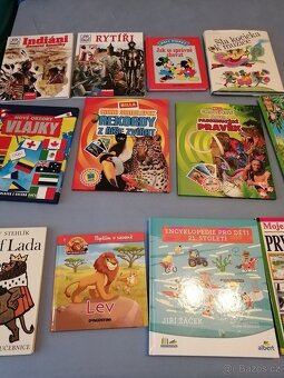 dětské knížky - úklid knihovničky - 2