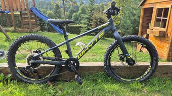 Whyte 20" - 2