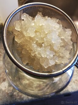 Kombucha TIBI Tibetská houba GPB zázvorové pivo kvásek - 2