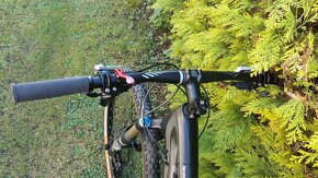 Specialized Amber FSR Comp Carbon 29" - 2