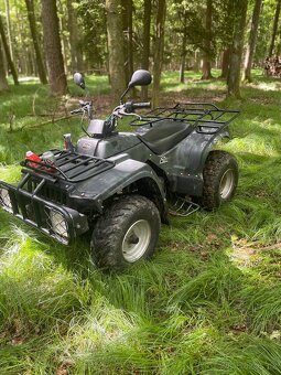Prodám čtyřkolku 250 cc - 2