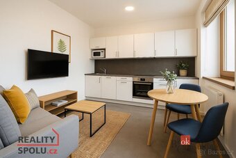 Pronájem, byty/1+1, 36 m2, 59102 Světnov, Žďár nad Sázavou [ - 2