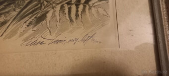 LEŽÍCÍ KOLOUCH - VAIC ALEŠA - 2