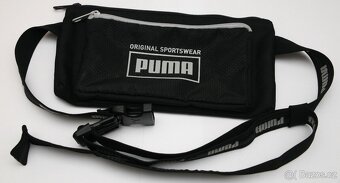 Ledvinka PUMA - 2
