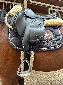 Sedlo equipe - 2
