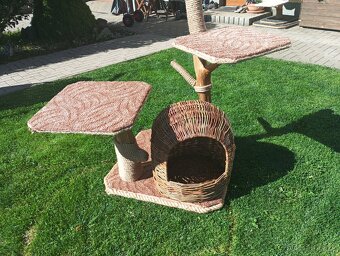 Kočičí skrabadlo - 2