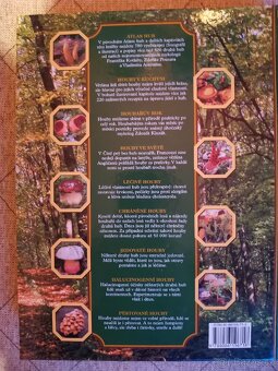 Encyklopedie houby - 2
