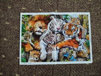Prodám netradiční dřevěné puzzle - 2