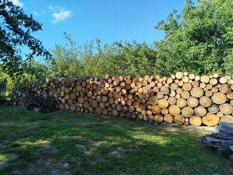 PALIVOVÉ DŘEVO - 2