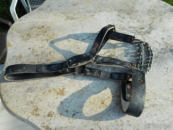 OHLÁVKA PRO KRÁVU - 2