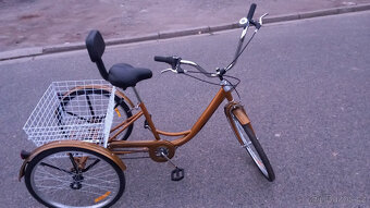 Tříkolka pro dospělé - 2