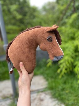 Hobby horse - 2