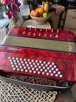 Heligonka delicia junior IV - 2