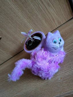 Pokojové květiny s květináči - 2