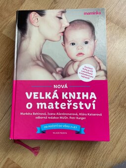 Knihy o materstvi Brno - 2