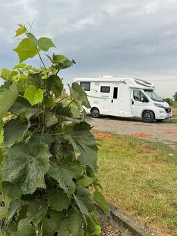 Forster T 699 EB - polointegrál pro 4 osoby r. 2024 - 2