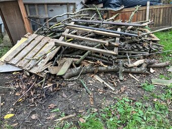 Zdarma za odvoz dřevo - 2