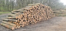 Palivové dřevo tvrdé- velkoodběr - 2