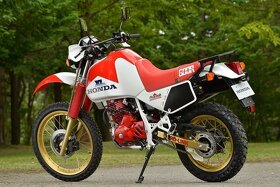 Koupím: Honda XL 600 LM Paris Dakar - 2