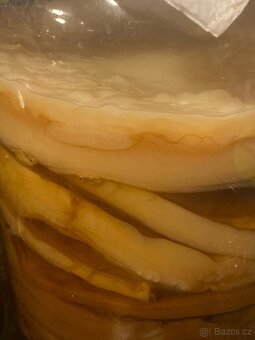Domácí kombucha - 2