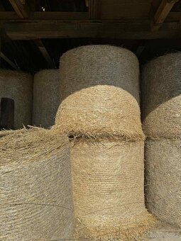 Sláma 2025 balíky 120 cm - 2