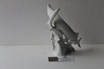 Jeseter Royal Dux - 2