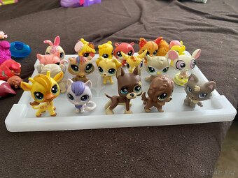 Little pets shop - 2