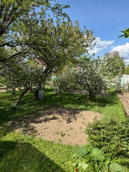 🌿 RAJSKÁ ZAHRADA NA OKRAJI ŠUMPERKA 🌳 - 2