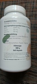 MSM& SPIRULINA&PAPÁJA - 2