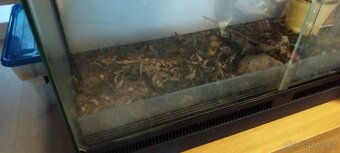 Prodám terárium 90x45x60 - 2