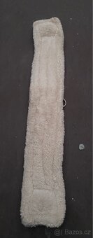 Western podbřišník kentaur - 2