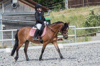 Pony klisna - 2