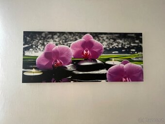 Obraz na plátně - orchidej - 2