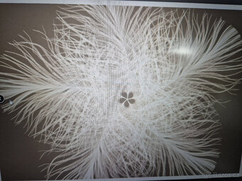 Fototapeta PEŘÍ MANDALA -vlies - 2