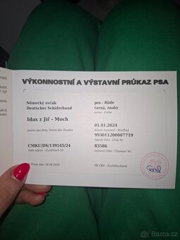 německý ovčák s PP - 2